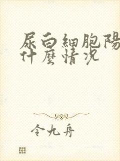 尿白细胞阳性是什么情况