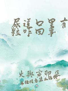 尿道口里有小肉粒咋回事