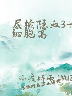 尿检隐血3+红细胞高