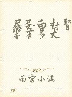 尿蛋白对肾的影响有多大