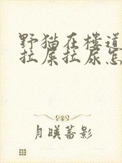 野猫在楼道到处拉屎拉尿怎么办