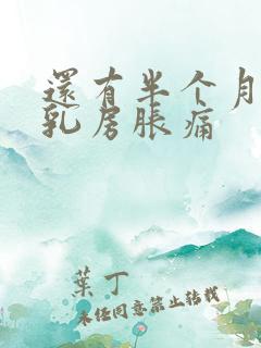 还有半个月经期乳房胀痛