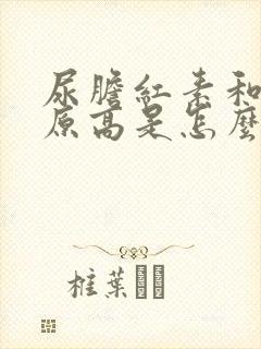 尿胆红素和尿胆原高是怎么回事