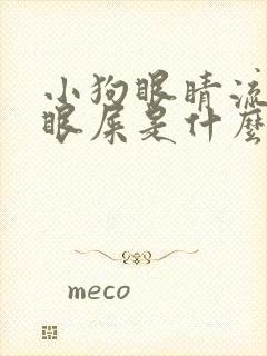 小狗眼睛流泪有眼屎是什么原因