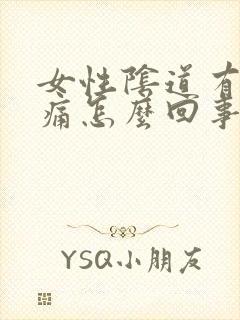 女性阴道有点刺痛怎么回事