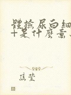 体检尿白细胞2+是什么意思