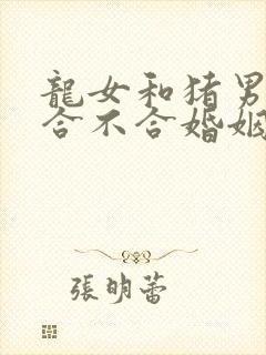 龙女和猪男属相合不合婚姻