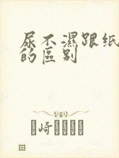 尿不湿跟纸尿裤的区别