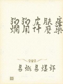 狗狗皮肤瘙痒溃烂用什么药