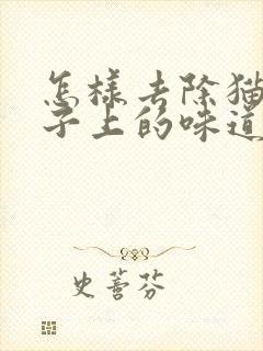 怎样去除猫尿被子上的味道