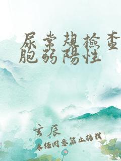 尿常规检查白细胞弱阳性