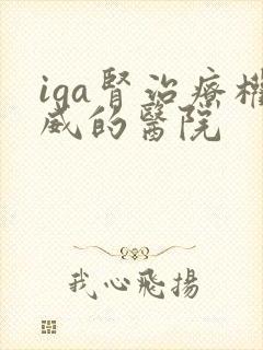 iga肾治疗权威的医院