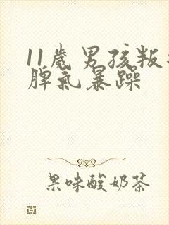 11岁男孩叛逆脾气暴躁