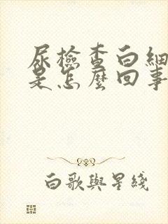 尿检查白细胞高是怎么回事女性