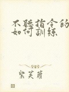 不听指令的孩子如何训练