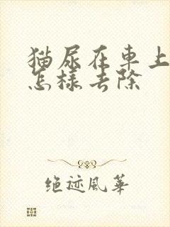 猫尿在车上味道怎样去除