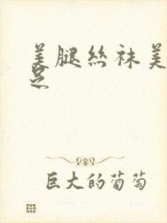 美腿丝袜美腿玉足