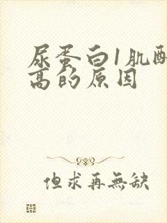 尿蛋白1肌酐偏高的原因