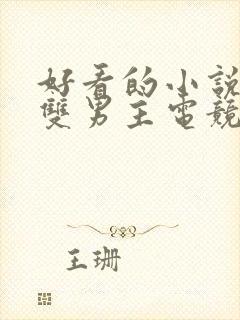 好看的小说推荐双男主电竞