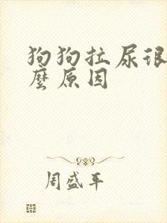 狗狗拉尿很黄什么原因