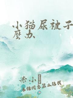 小猫尿被子上怎么办