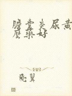 胆囊炎尿黄吃什么药好