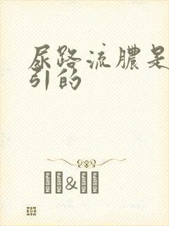 尿路流脓是什么引的