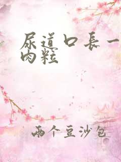 尿道口长一堆小肉粒