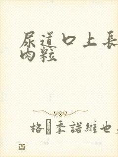 尿道口上长一个肉粒