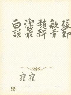 白洁赵敏张倩小说最新章节更新营免费阅读