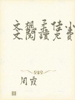 文枫柔佳小说全文阅读免费