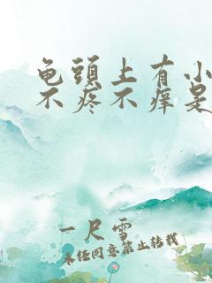 龟头上有小红点不疼不痒是咋回事