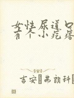 女性尿道口里面有个小疙瘩