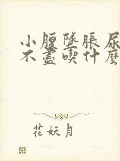 小腹坠胀尿频尿不尽吃什么药