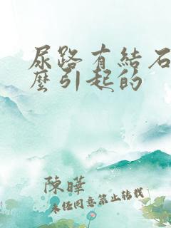 尿路有结石是什么引起的