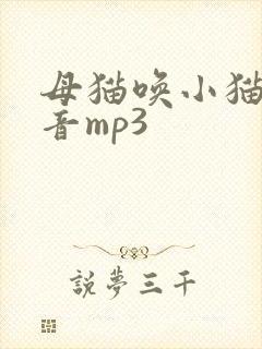 母猫唤小猫的声音mp3
