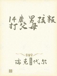 14岁男孩叛逆打父母