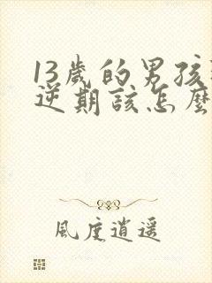 13岁的男孩叛逆期该怎么办