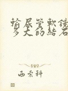 输尿管软镜适合多大的结石