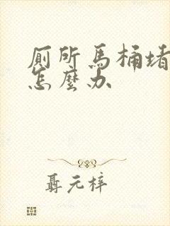 厕所马桶堵了,怎么办