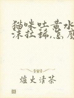 猫咪吐黄水有泡沫拉稀,怎么办?