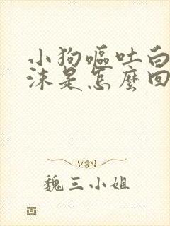 小狗呕吐白色泡沫是怎么回事