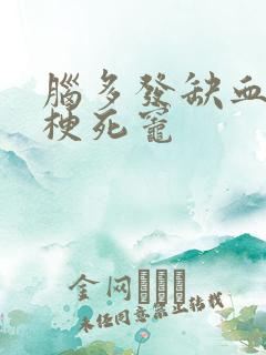 脑多发缺血灶小梗死灶