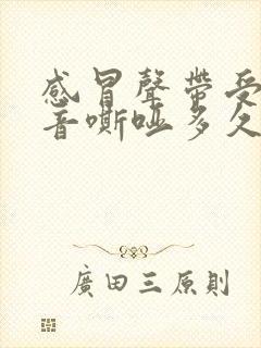 感冒声带受损声音嘶哑多久能恢复