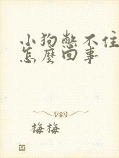 小狗憋不住尿是怎么回事