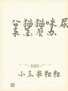 公猫猫咪尿不出来怎么办