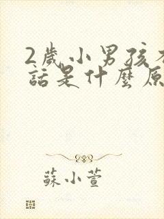 2岁小男孩不说话是什么原因