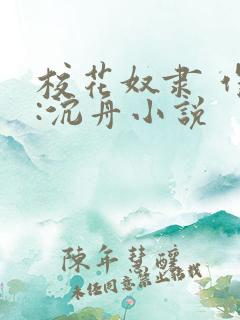 校花奴隶 作者:沉舟小说