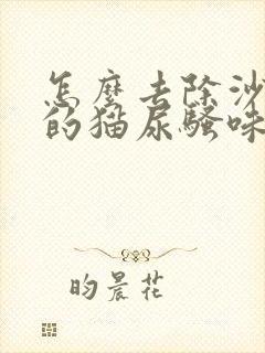 怎么去除沙发上的猫尿骚味