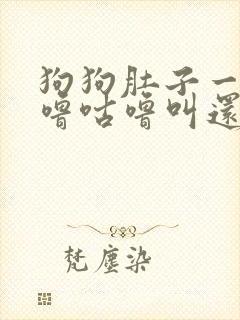 狗狗肚子一直咕噜咕噜叫还吐黄水